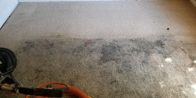 Carpet cleaning services